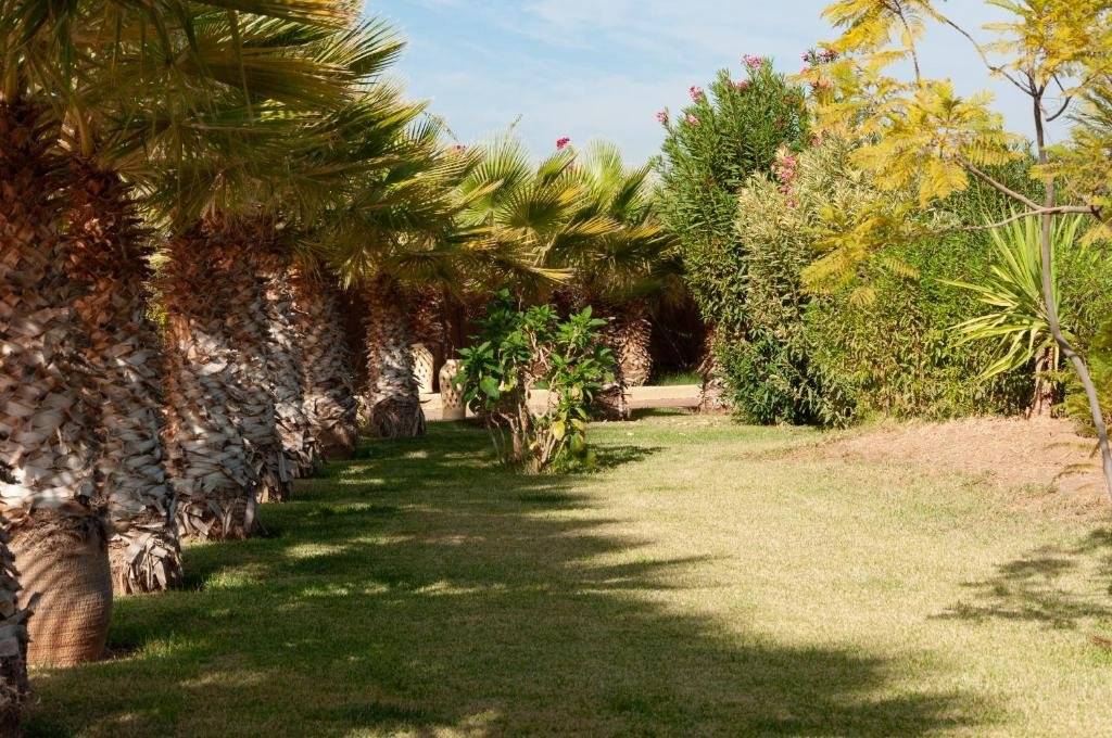 Jardin dans un riad à Marrakech au Maroc