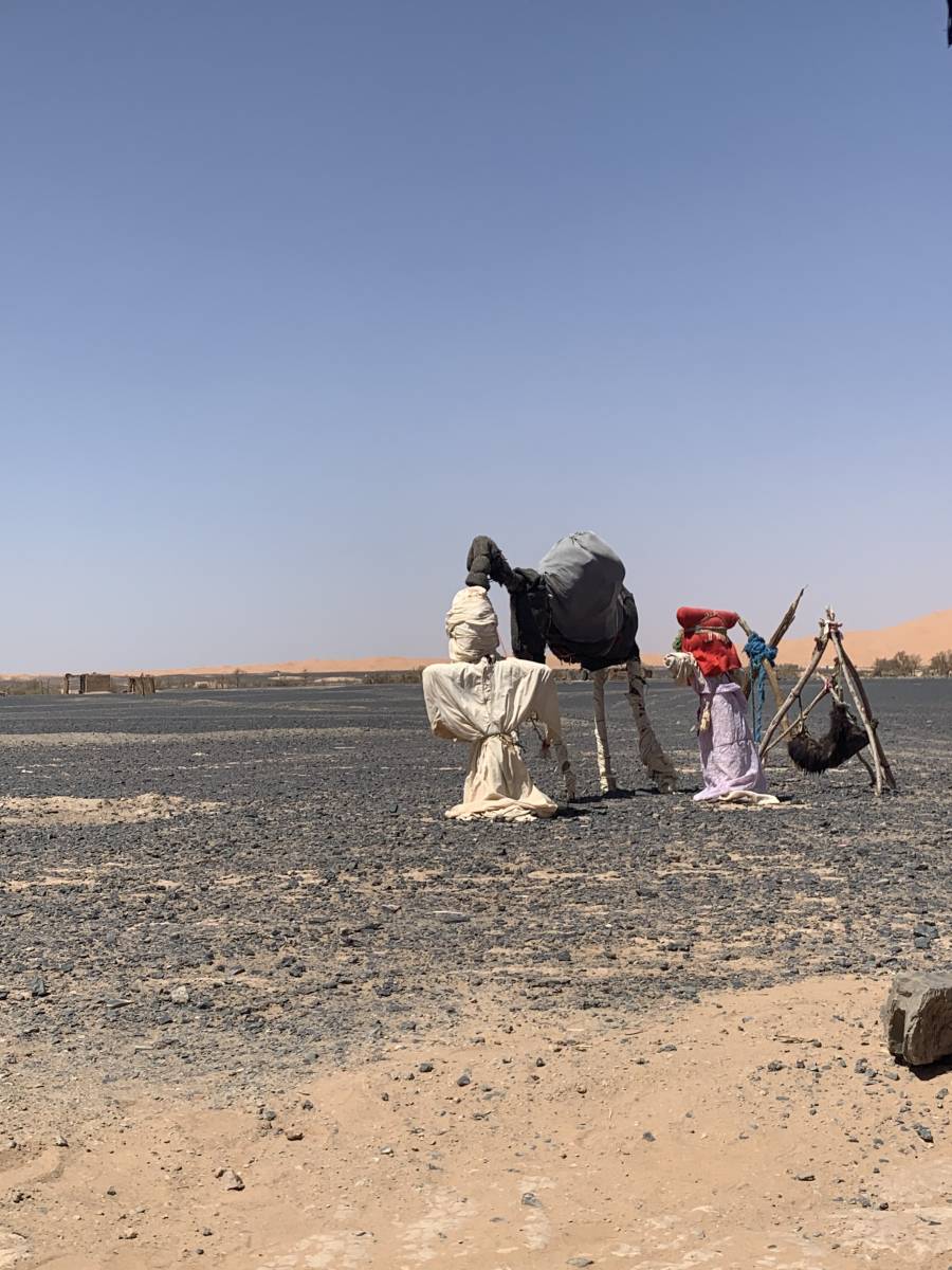 Voyages de noces, demande en mariage, renouvellement de voeux, treks dans le désert, séjours entre célibataires ou entre amis et toutes vos autres envies …