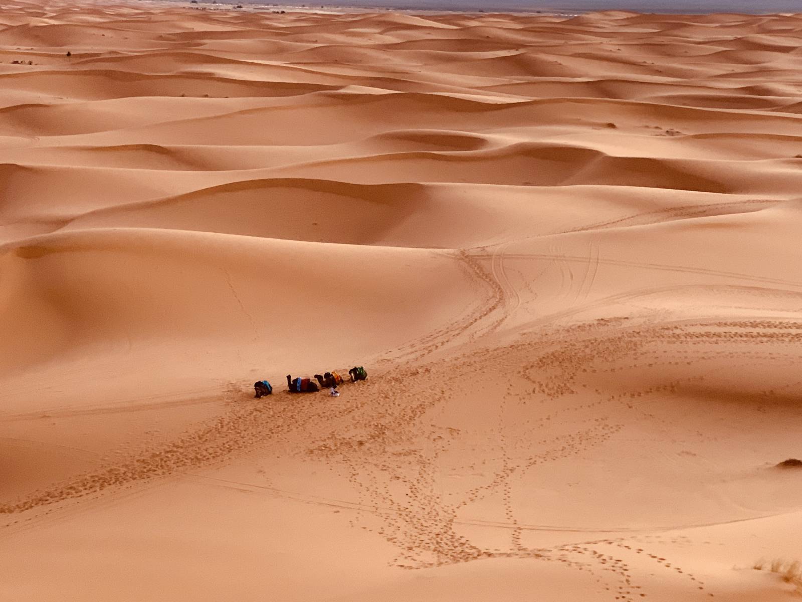 Les dunes du désert de Merzouga au Maroc