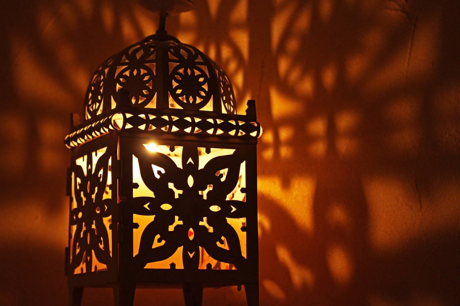 Agence de voyage spécialisé dans l'organisation d'événements à Marrakech au Maroc  