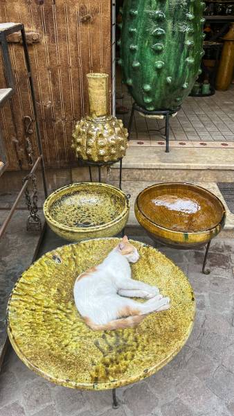 Agence de voyage de luxe sur le maroc a Marrakech