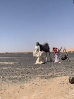 Voyages de noces, demande en mariage, renouvellement de voeux, treks dans le désert, séjours entre célibataires ou entre amis et toutes vos autres envies …
