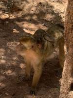 Balade au Cascade au maroc