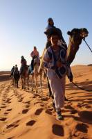 Organiser une cousinade dans le désert de Merzouga ou à Marrakech au Maroc