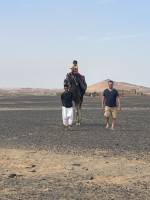 balade en dromadaire dans le desert du maroc